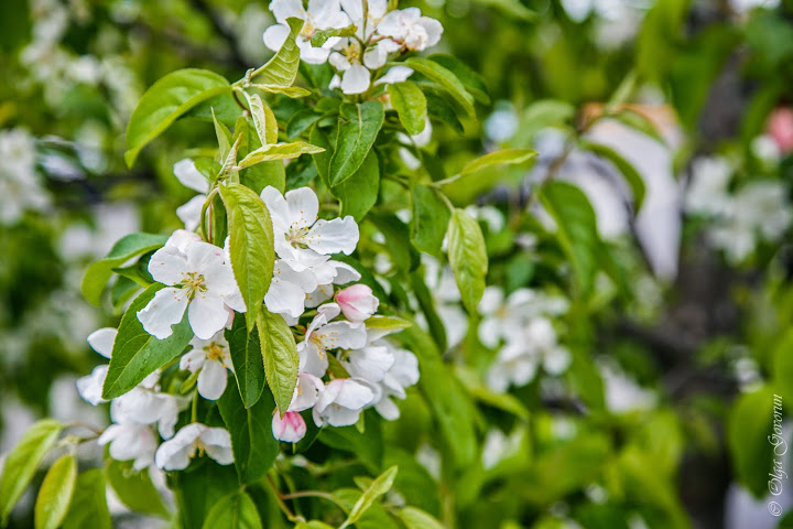 С ветерком по Nova Scotia
