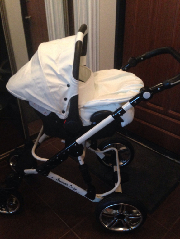 Коляска concordia design glamour кожа