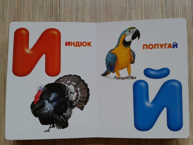 Живой алфавит с крупными буквами