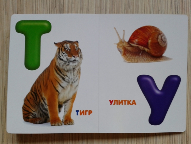 Живой алфавит с крупными буквами