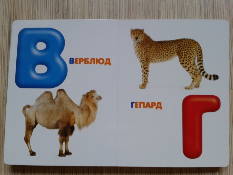 Живой алфавит с крупными буквами