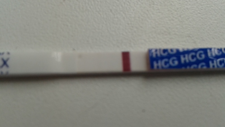 посмотрите тест!!!