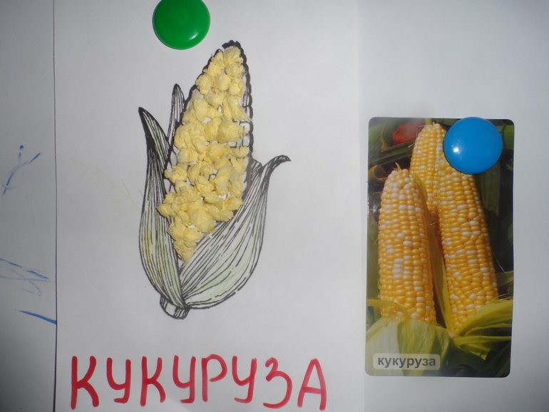 ТН овощи