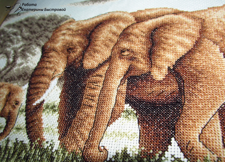 "Великолепное семейство" от Panna