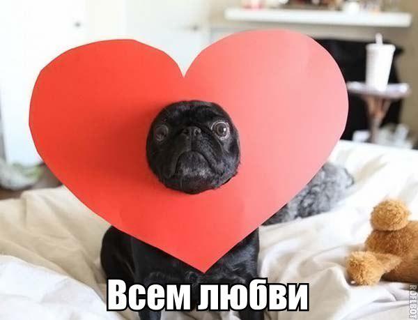 Давайте дружить!