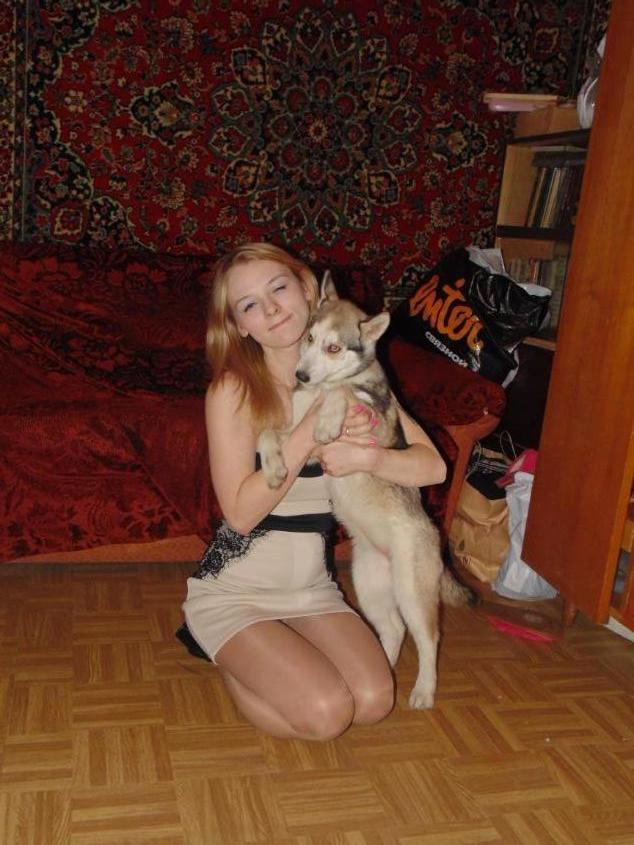 Картинка