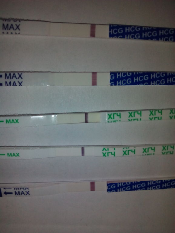 текст на беременность положительный. C3 тест. C3 тест. Wallpaper test strips биоконтроль. 3 теста на беременность.