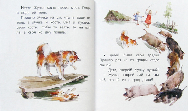 Толстой жучка