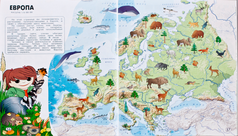 Карта животный мир россии