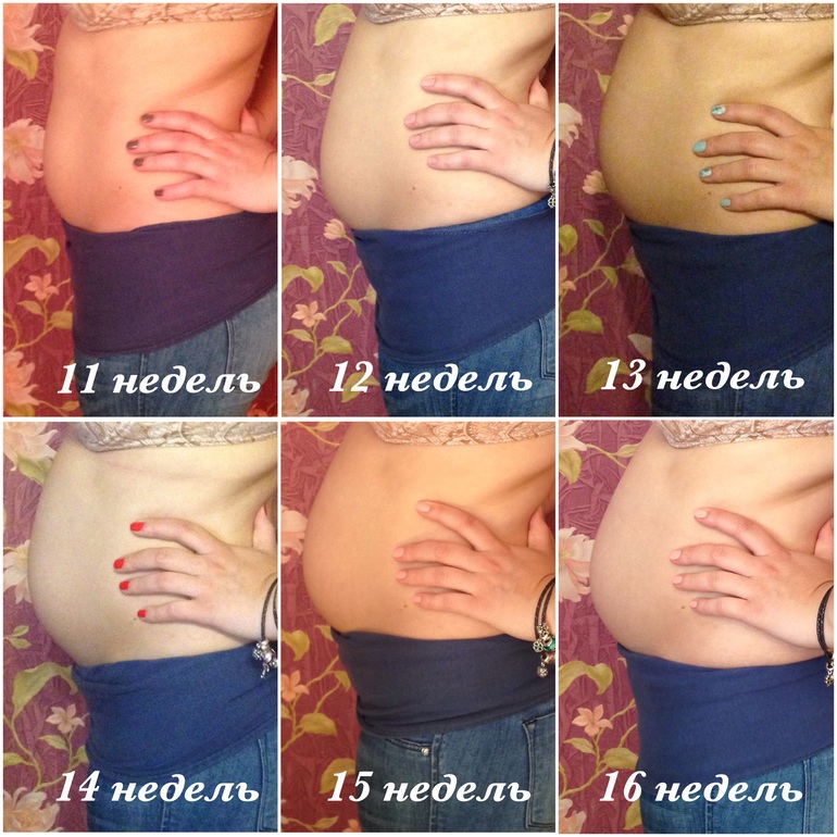 Как растет живот во время беременности: нормы и график