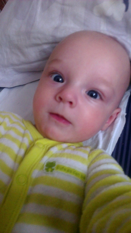 5 месяцев