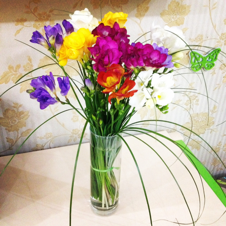 Моя весна...