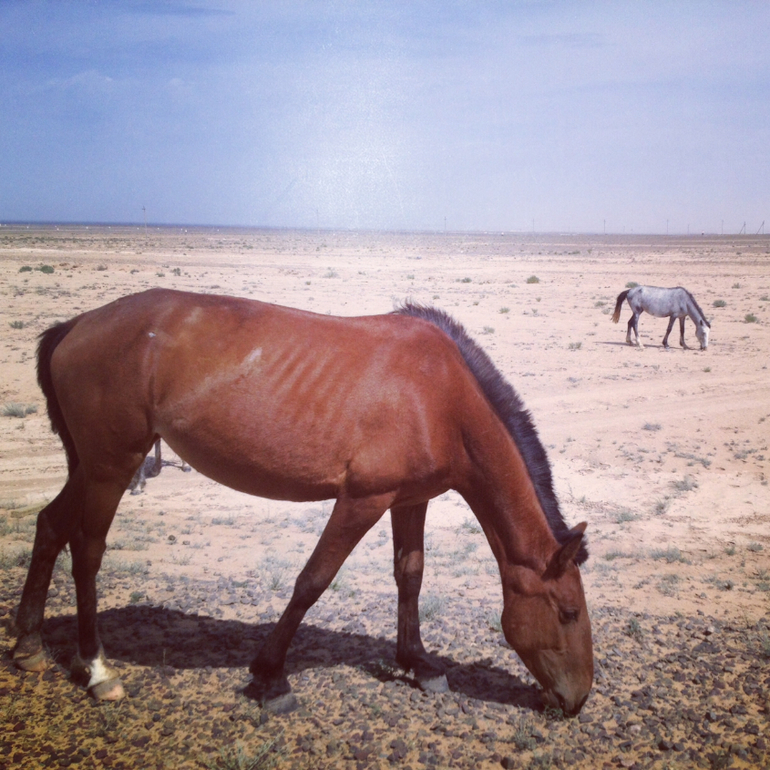 Мооре море...