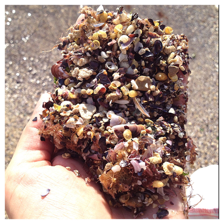 Просто прогулка...