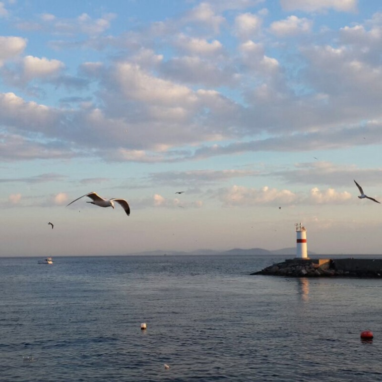 Несколько минут, взгляд