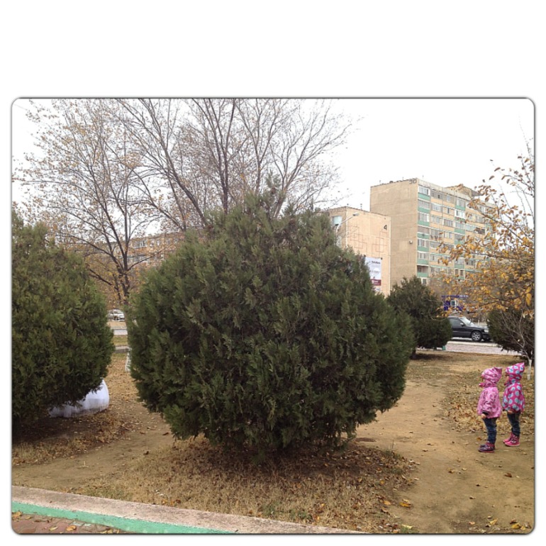 Женская слабость....Невесты...