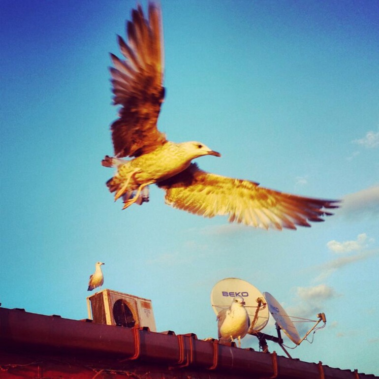 Несколько минут, взгляд