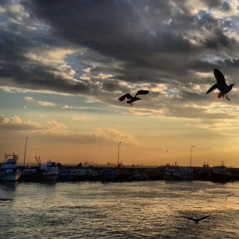 Несколько минут, взгляд