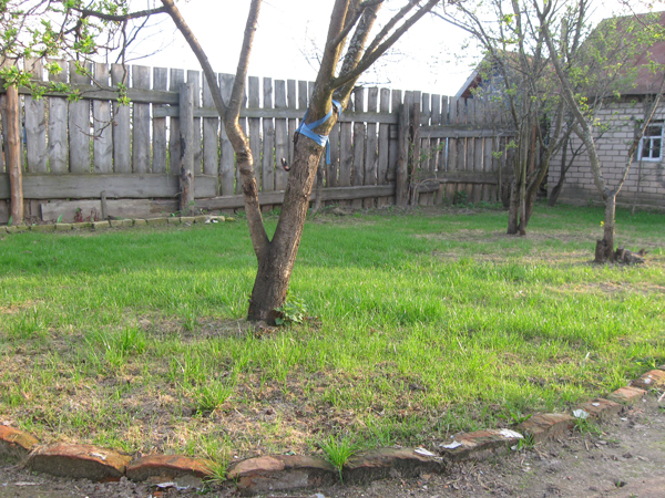 Продаю домик в деревне. Срочно! В доме все остается! 1 750 000 торг