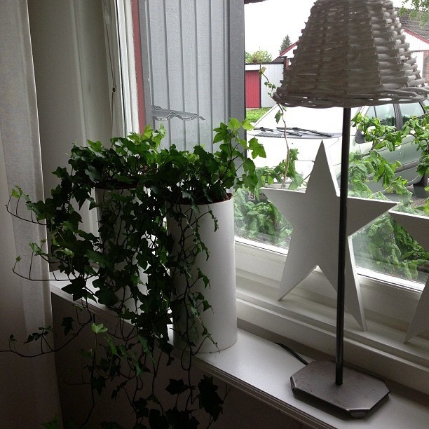 Звезда в интерьере