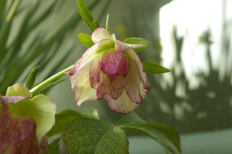 Весна. Начало)