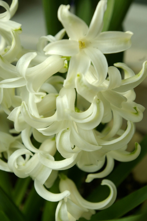 Весна. Начало)