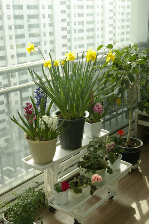 Весна. Начало)