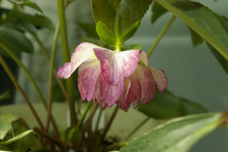 Весна. Начало)