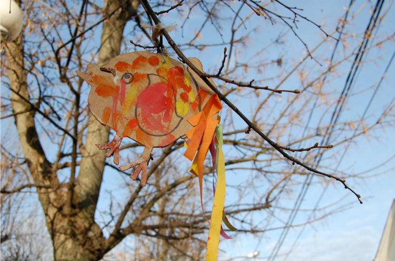 Прекрасный птичий