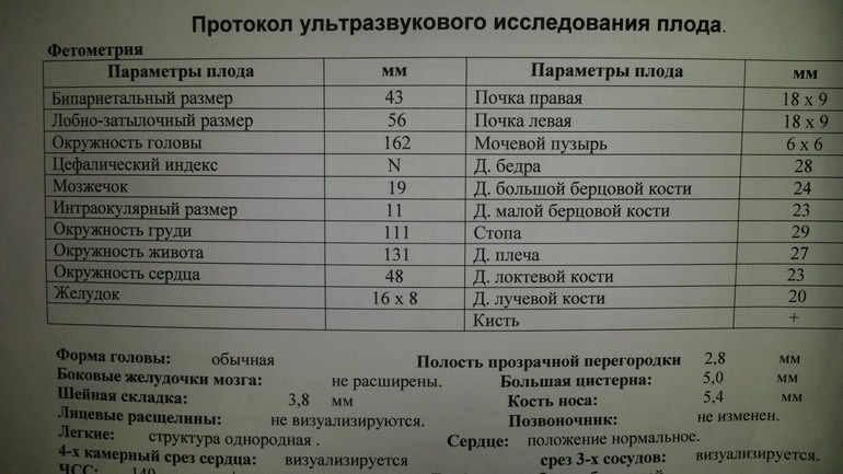 Нормальные форум. Цефалический индекс. Цефалический индекс у плода. Цефалический индекс у плода норма. Цефалический индекс по неделям.