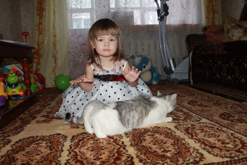 Картинка