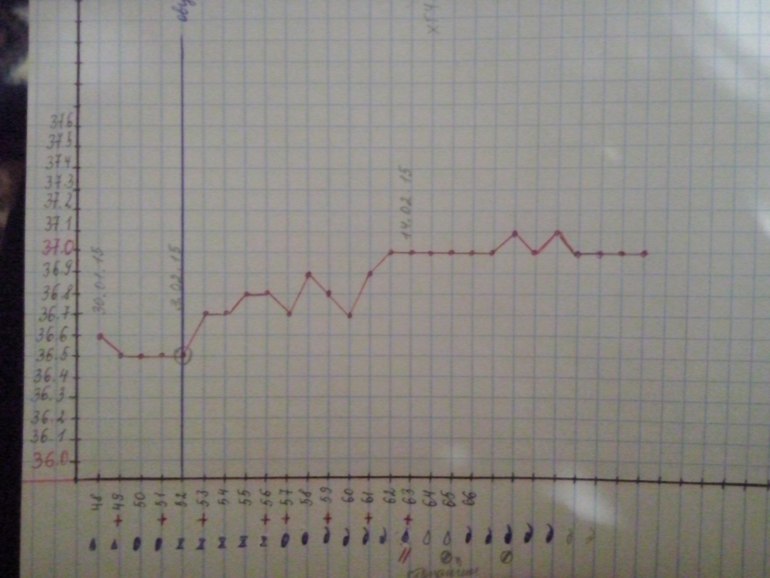 Температура на 6 день беременности