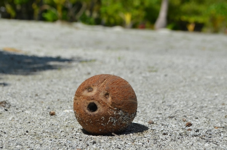 Хороший отель, очаровательное море и скучное питание!