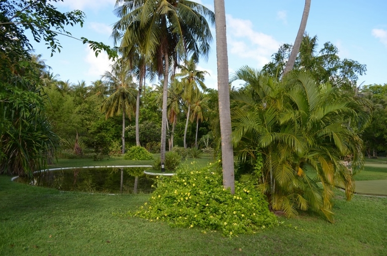 Хороший отель, очаровательное море и скучное питание!