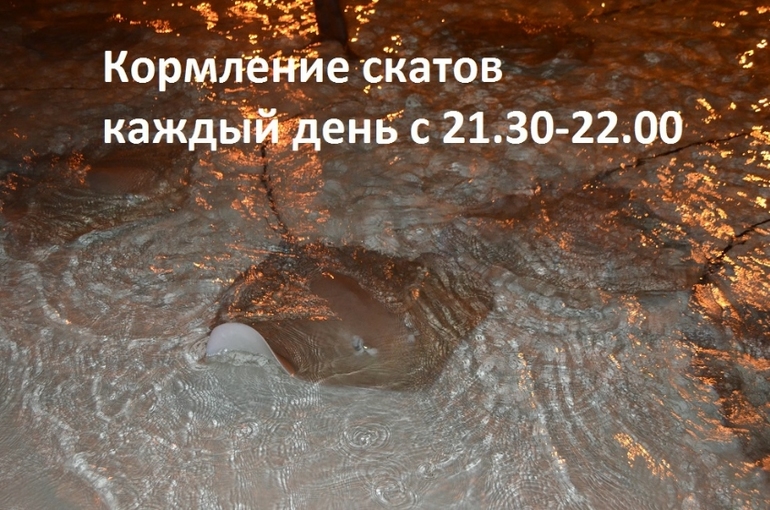 Хороший отель, очаровательное море и скучное питание!