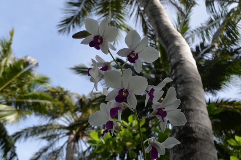 Хороший отель, очаровательное море и скучное питание!