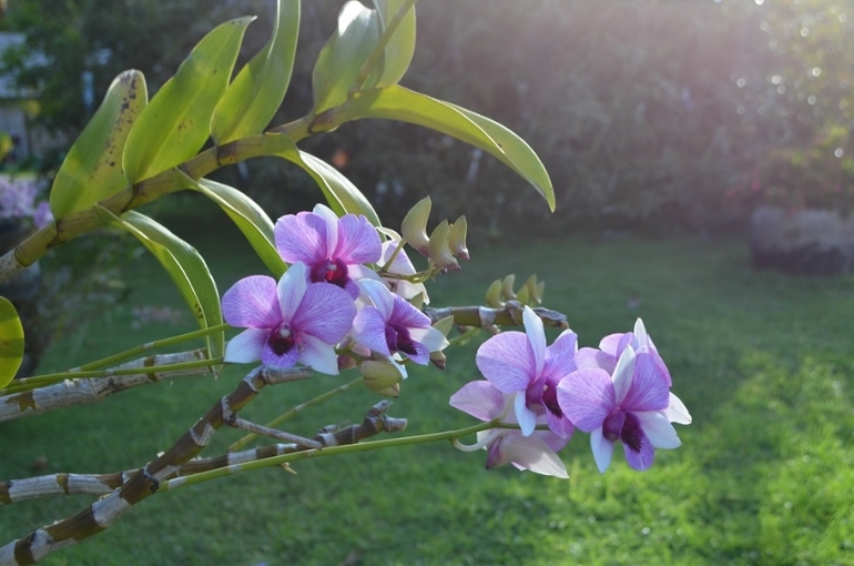 Хороший отель, очаровательное море и скучное питание!