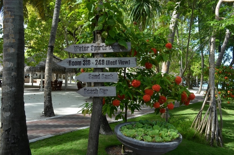 Хороший отель, очаровательное море и скучное питание!