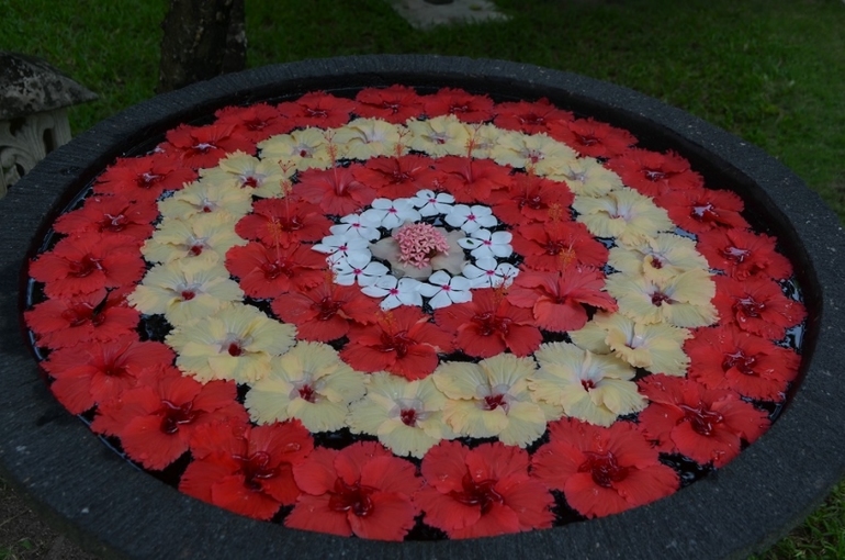 Хороший отель, очаровательное море и скучное питание!