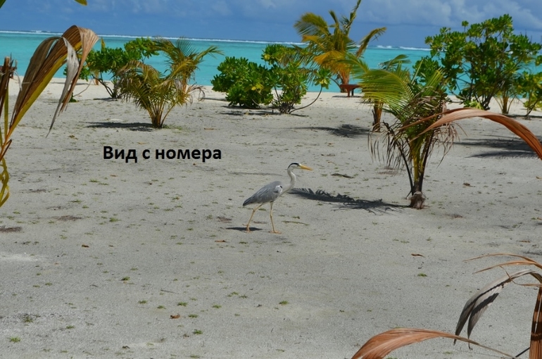 Хороший отель, очаровательное море и скучное питание!