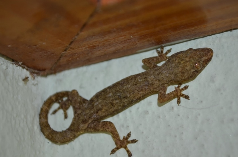 Хороший отель, очаровательное море и скучное питание!