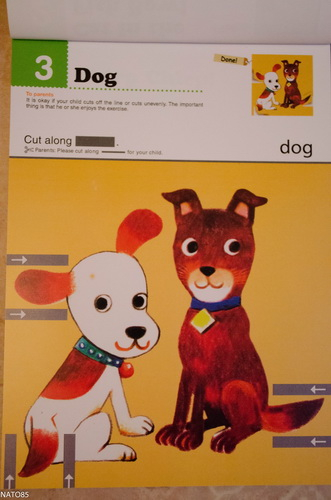 Тетради Kumon