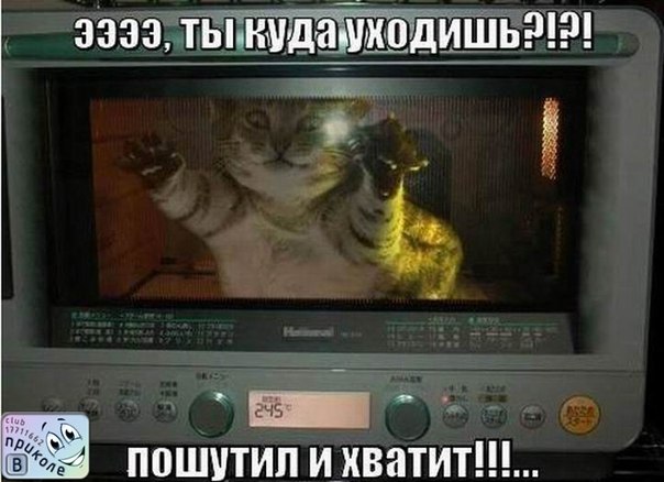 5058b73b3c71f134faebd4f49eb21e41.jpg