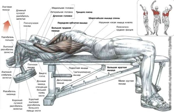 Мой тренер - зверюга))))