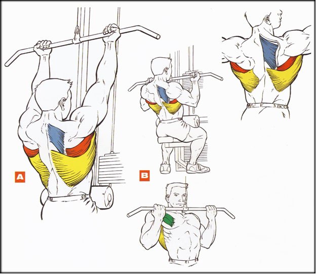 Третий день - день спины:)