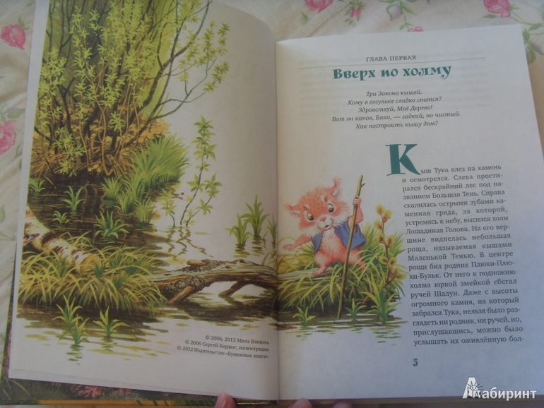 3acef6b32c26e68b7e0cc856b3729fce.jpg