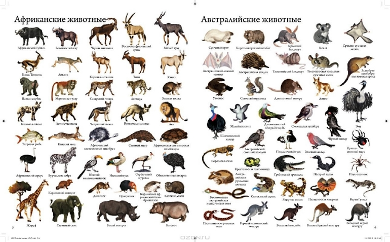 Пополняем книжный запас