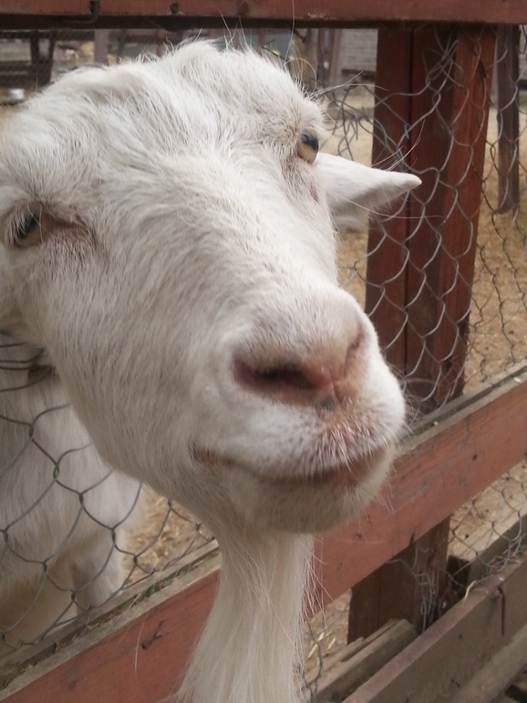 Отдых на первые майские