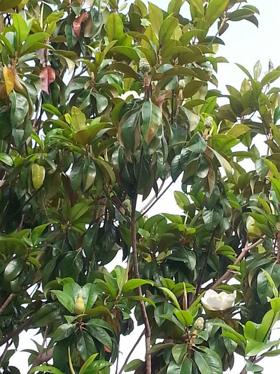 Турляндия 23.05-03.06.2014