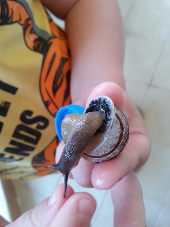 Турляндия 23.05-03.06.2014